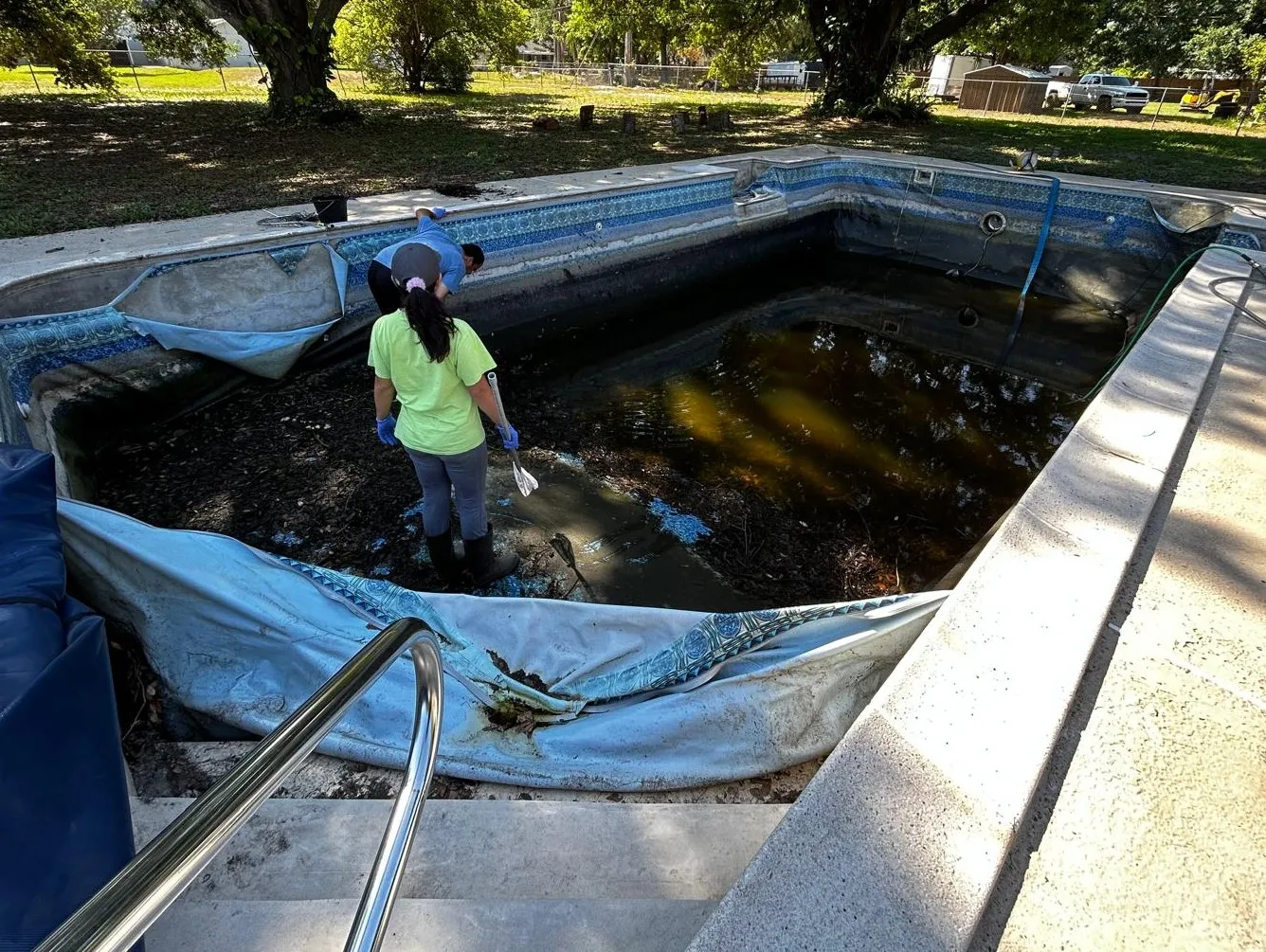 The family and the pool cleaner using nets to catch fish in the shallow water